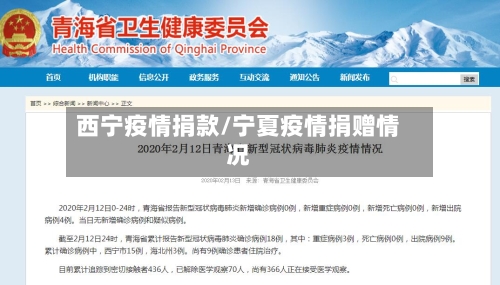 西宁疫情捐款/宁夏疫情捐赠情况-第3张图片