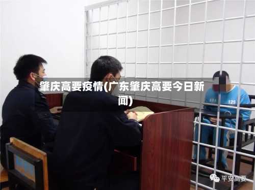 肇庆高要疫情(广东肇庆高要今日新闻)-第3张图片