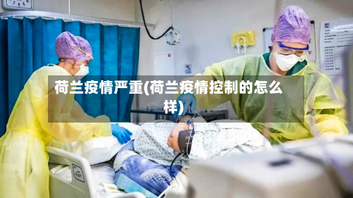 荷兰疫情严重(荷兰疫情控制的怎么样)-第3张图片