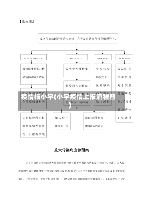 疫情报小学(小学疫情上报流程图)-第3张图片