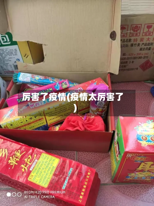 厉害了疫情(疫情太厉害了)-第2张图片