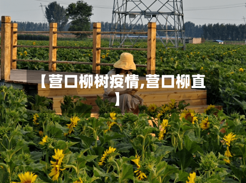 【营口柳树疫情,营口柳直】-第2张图片