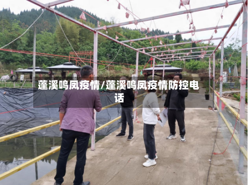 蓬溪鸣凤疫情/蓬溪鸣凤疫情防控电话-第2张图片