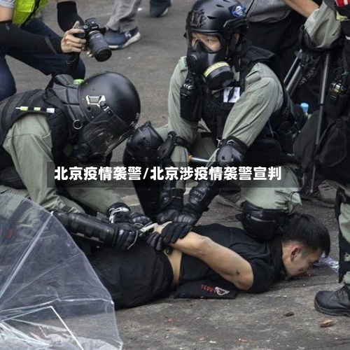 北京疫情袭警/北京涉疫情袭警宣判-第1张图片