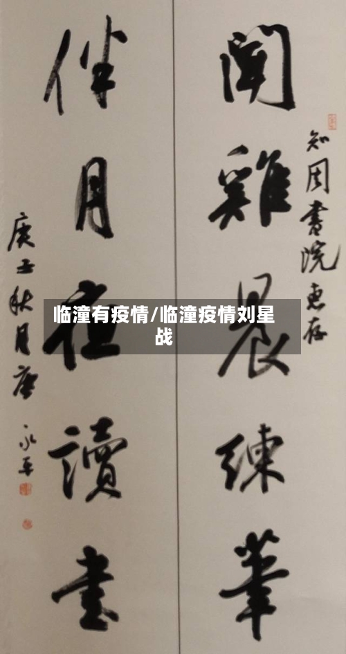 临潼有疫情/临潼疫情刘星战-第2张图片