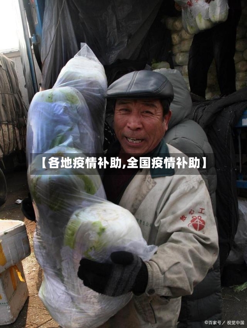 【各地疫情补助,全国疫情补助】-第2张图片