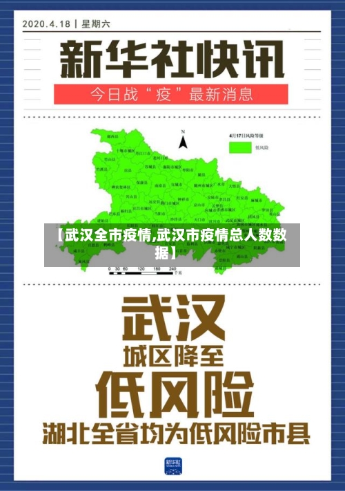 【武汉全市疫情,武汉市疫情总人数数据】-第1张图片