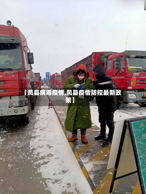 【凤县病毒疫情,凤县疫情防控最新政策】-第2张图片