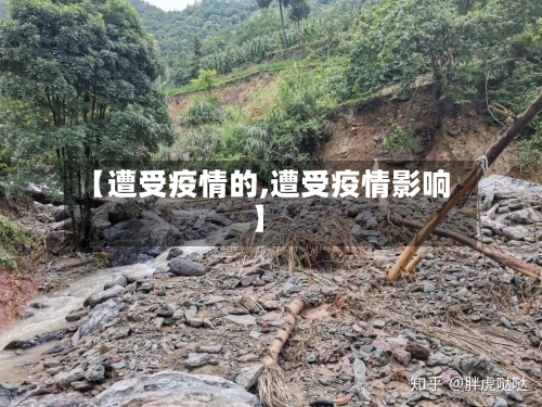 【遭受疫情的,遭受疫情影响】-第2张图片