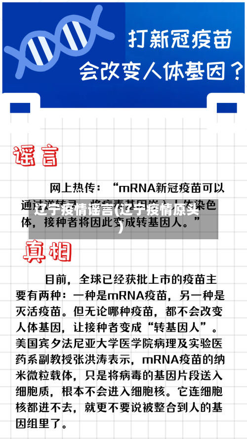 辽宁疫情谣言(辽宁疫情原头)-第3张图片