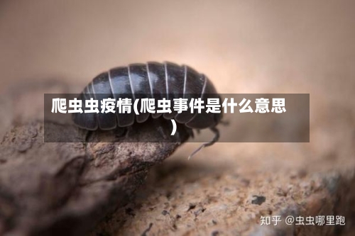 爬虫虫疫情(爬虫事件是什么意思)-第2张图片