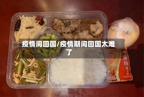 疫情间回国/疫情期间回国太难了-第1张图片