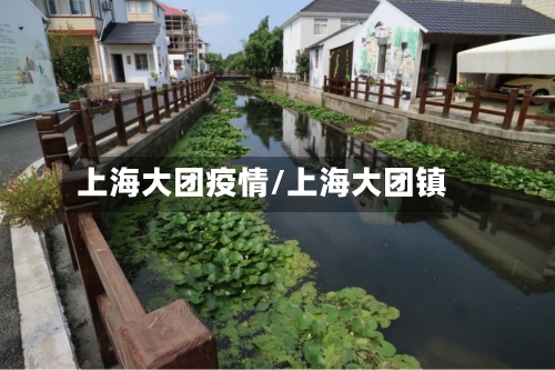 上海大团疫情/上海大团镇-第1张图片
