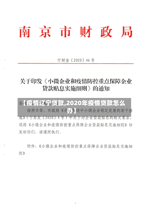 【疫情辽宁贷款,2020年疫情贷款怎么办】-第2张图片