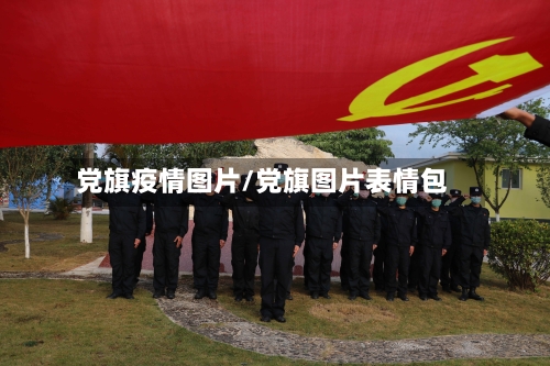党旗疫情图片/党旗图片表情包-第1张图片