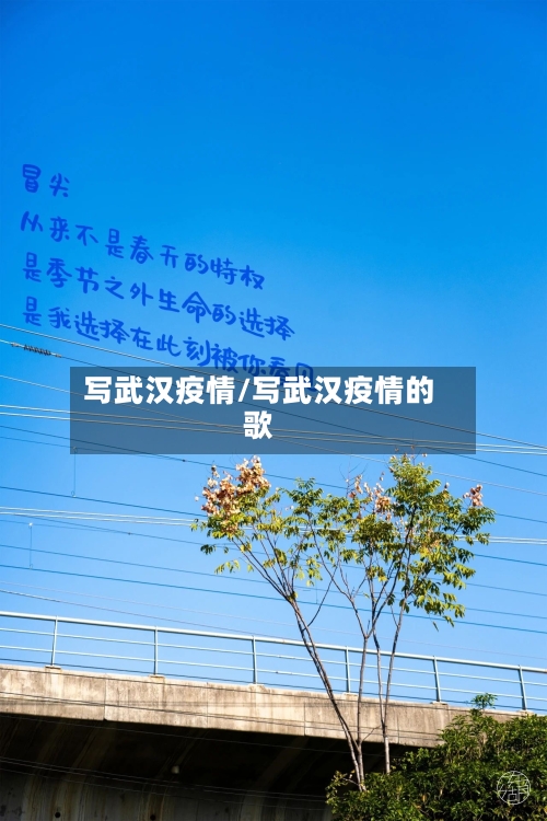 写武汉疫情/写武汉疫情的歌-第2张图片