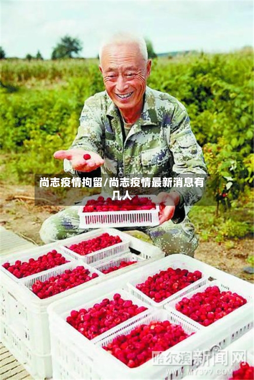 尚志疫情拘留/尚志疫情最新消息有几人-第1张图片