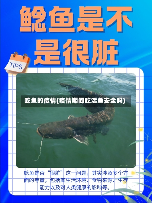 吃鱼的疫情(疫情期间吃活鱼安全吗)-第1张图片