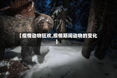 【疫情动物狂欢,疫情期间动物的变化】-第1张图片