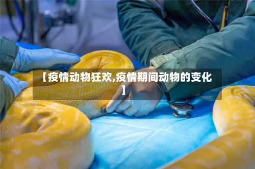 【疫情动物狂欢,疫情期间动物的变化】-第2张图片