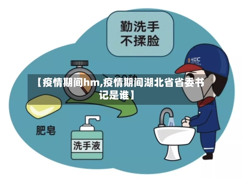 【疫情期间hm,疫情期间湖北省省委书记是谁】-第3张图片
