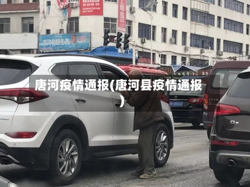 唐河疫情通报(唐河县疫情通报)-第1张图片