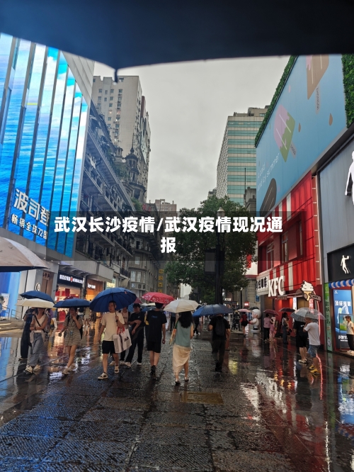 武汉长沙疫情/武汉疫情现况通报-第1张图片