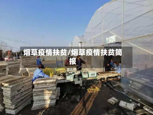 烟草疫情扶贫/烟草疫情扶贫简报-第1张图片
