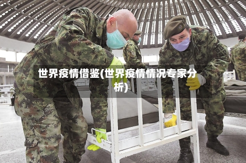 世界疫情借鉴(世界疫情情况专家分析)-第1张图片