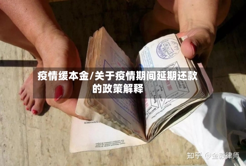 疫情缓本金/关于疫情期间延期还款的政策解释-第2张图片