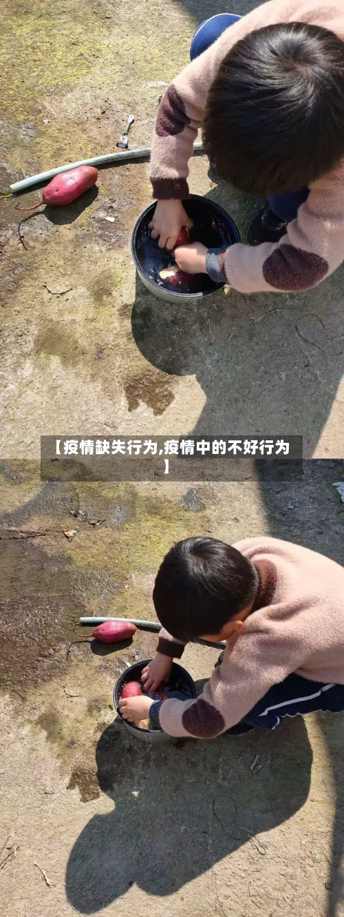 【疫情缺失行为,疫情中的不好行为】-第1张图片