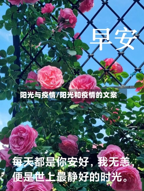 阳光与疫情/阳光和疫情的文案-第2张图片