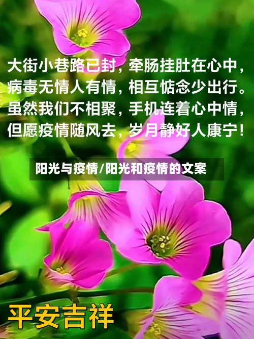 阳光与疫情/阳光和疫情的文案-第3张图片