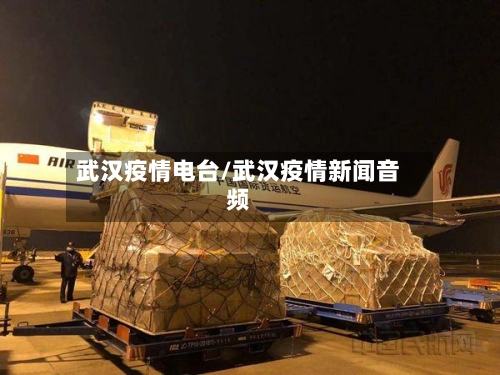 武汉疫情电台/武汉疫情新闻音频-第1张图片