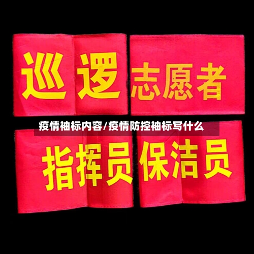 疫情袖标内容/疫情防控袖标写什么-第1张图片