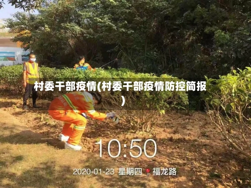 村委干部疫情(村委干部疫情防控简报)-第1张图片