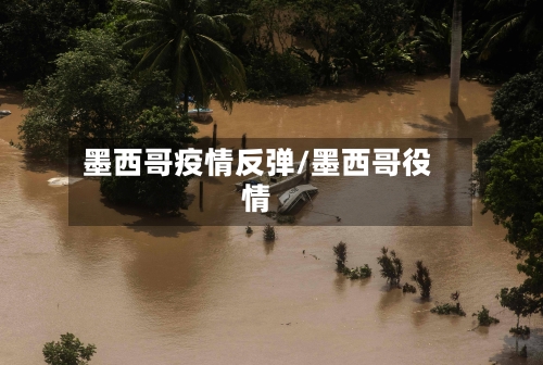 墨西哥疫情反弹/墨西哥役情-第1张图片