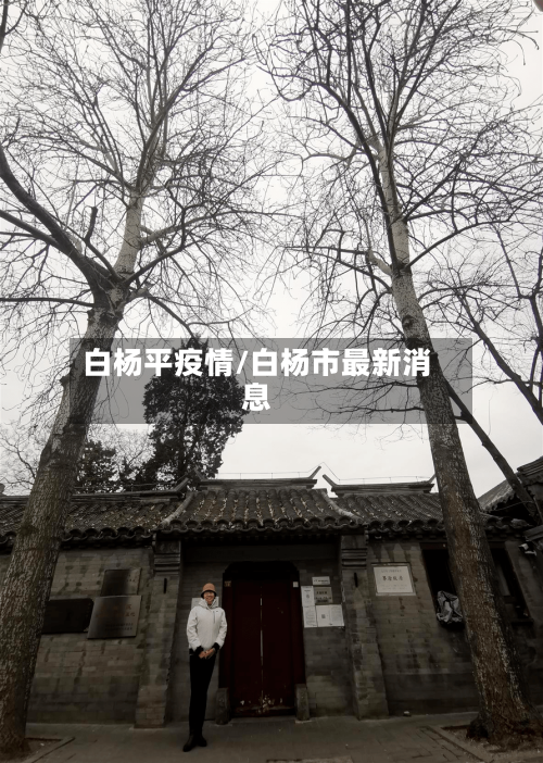 白杨平疫情/白杨市最新消息-第2张图片