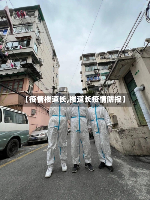 【疫情楼道长,楼道长疫情防控】-第2张图片