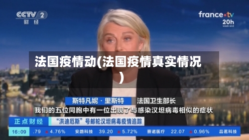 法国疫情动(法国疫情真实情况)-第1张图片