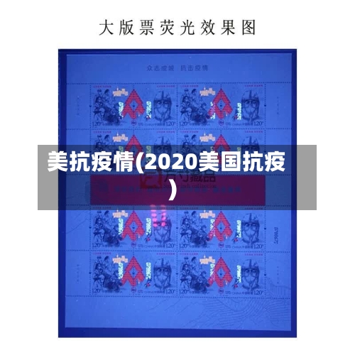 美抗疫情(2020美国抗疫)-第2张图片