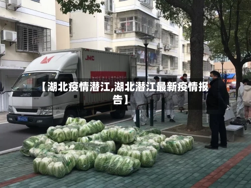 【湖北疫情潜江,湖北潜江最新疫情报告】-第3张图片