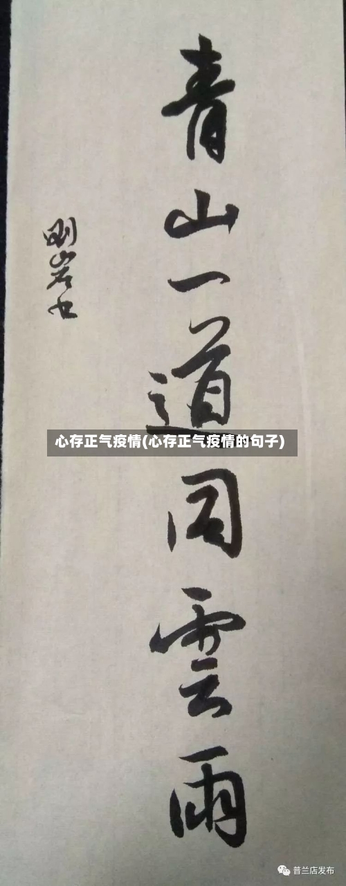 心存正气疫情(心存正气疫情的句子)-第2张图片
