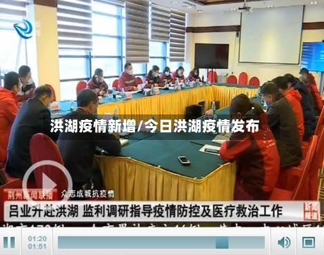 洪湖疫情新增/今日洪湖疫情发布-第2张图片