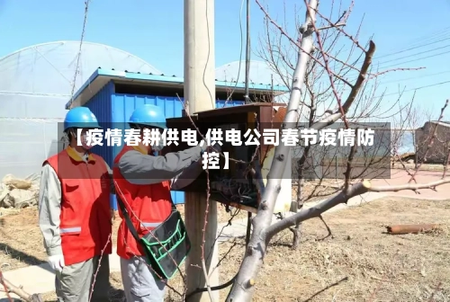 【疫情春耕供电,供电公司春节疫情防控】-第3张图片