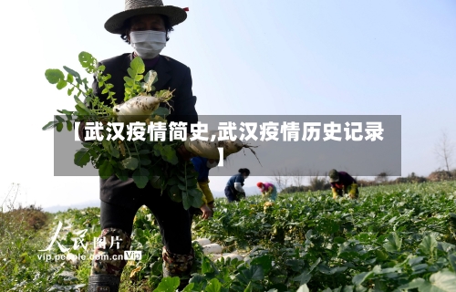 【武汉疫情简史,武汉疫情历史记录】-第2张图片