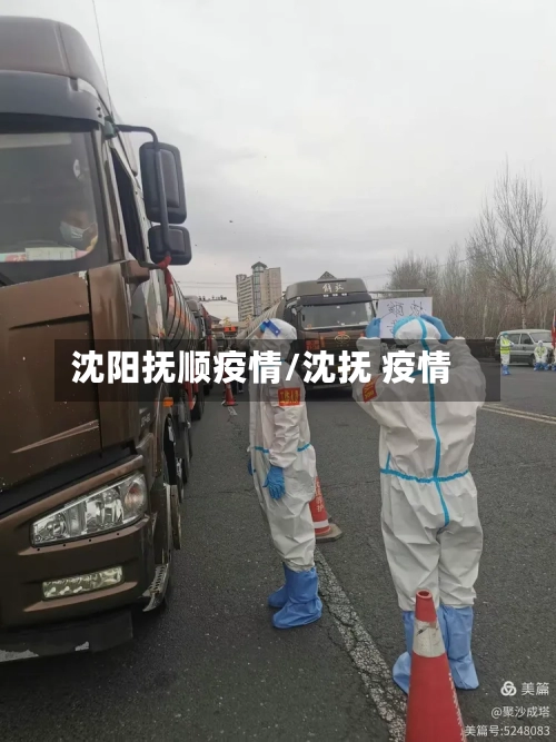 沈阳抚顺疫情/沈抚 疫情-第2张图片