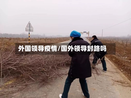 外国领导疫情/国外领导封路吗-第3张图片