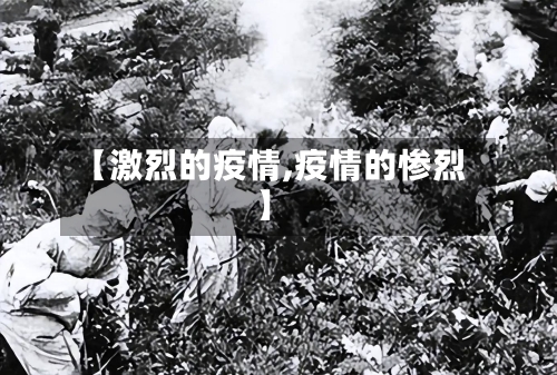 【激烈的疫情,疫情的惨烈】-第3张图片