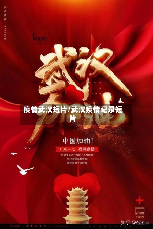 疫情武汉短片/武汉疫情记录短片-第2张图片